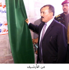 11111salh--ebb-mshroo.jpg
