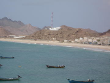1111broom-mayfa.jpg