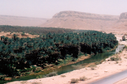 1111sah.bmp