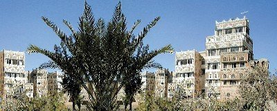 1111sanaa.jpg