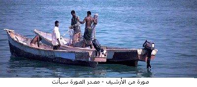 1111sayed-fish.jpg