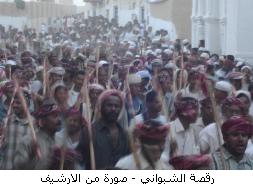 1111shbwany-arsheef.jpg