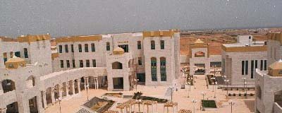 111mshroo-estethmar.jpg