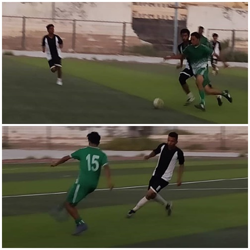 11258787.jpg