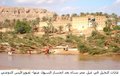 11gheel-omer-sah.JPG