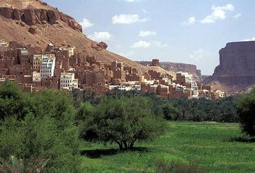 11hajreen2.jpg