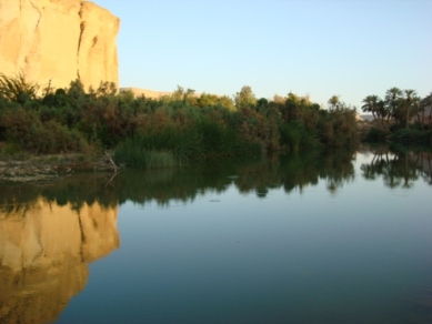 11sah5.JPG
