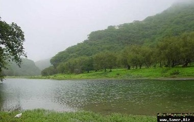 1almahrah_2012_1.jpg