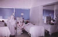 1kla-a.jpg