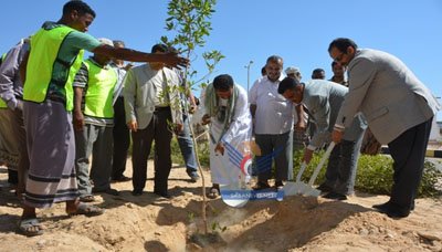 1mukalla_20141120_2.jpg