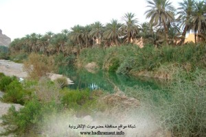 1sah-27.jpg