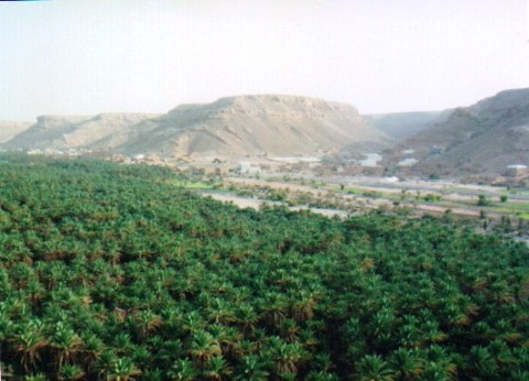 1sah1.jpg