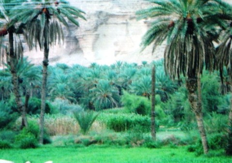 1sah2.jpg