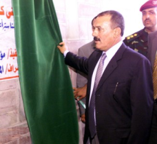 1salh--ebb-mshroo.jpg