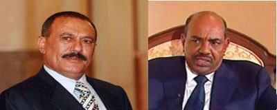 1salh-bsheer.jpg