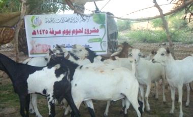 1sayun_20141015_6.jpg