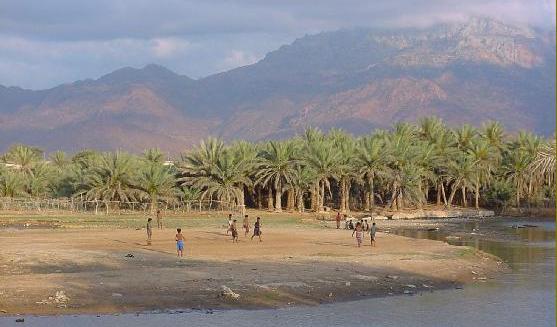 1socotra_05.jpg