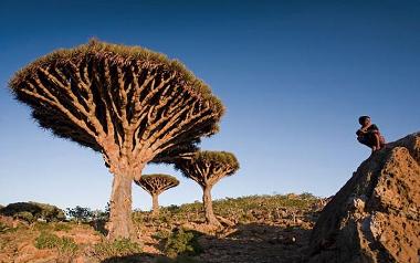 1sogatrah_20130423_1.jpg