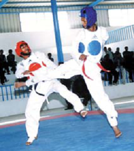 1taykwando.bmp