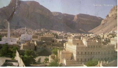 1treem_20130912_7.jpg