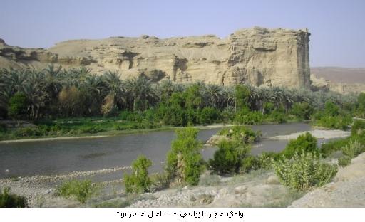 1wadi-hajer.jpg