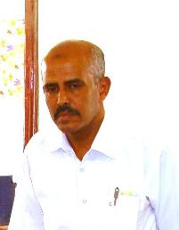 2741571.JPG