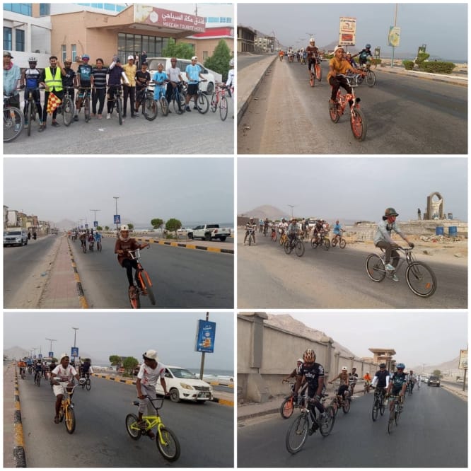 7777655.jpg