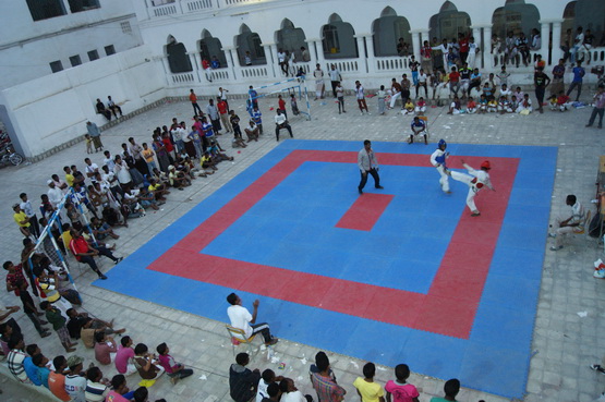 DSC04339.jpg
