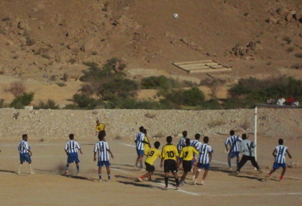 DSC08175.jpg