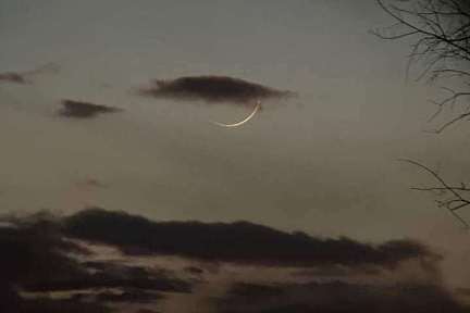 IMG-20220328-3.jpeg