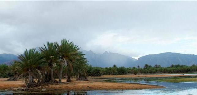Sogatra_Yemen_05.JPG