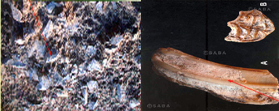 athar-tohamh.jpg