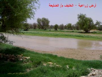 dhlayah.jpg