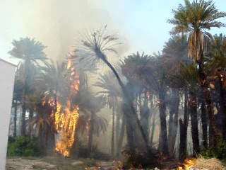 fire-sah-nkgeel.jpg