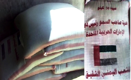 game7_alemarat_01.jpg