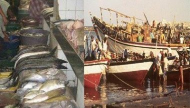 general_fishing_20.jpg