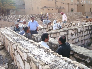 msharee-treem1.JPG