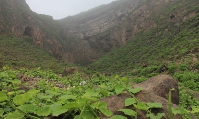 news_20150826_8.JPG