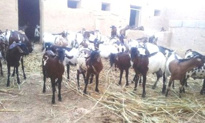 news_20170909_13.jpg