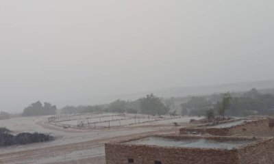 news_20190928_09.jpg