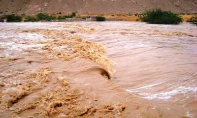 news_20200326_08.jpg
