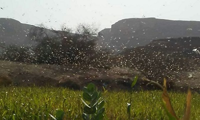 news_20200611_14.jpg