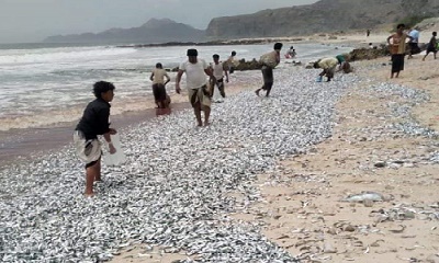 news_20200916_15.jpg