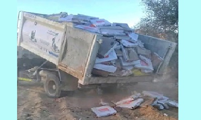 news_20230531_04.jpg