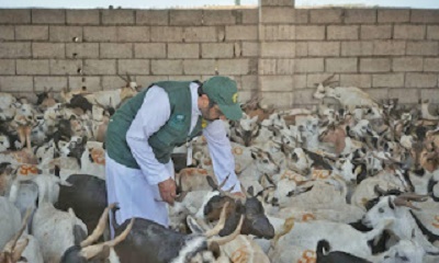 news_20230625_18.jpg