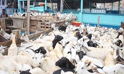 news_20240613_06.jpg