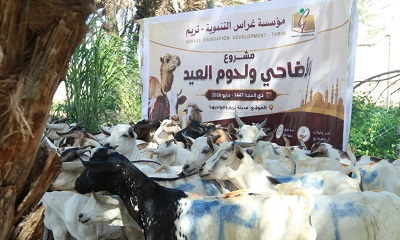news_20260531_03.jpg