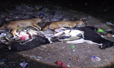 news_20260901_02.jpg