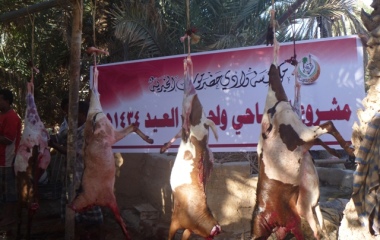 sayun_20131022_5.jpg