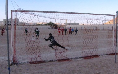 sayun_sport_raiboon_barg.JPG
